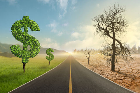 BCT市場前瞻 - 疫情下全球各地復甦進程大不同